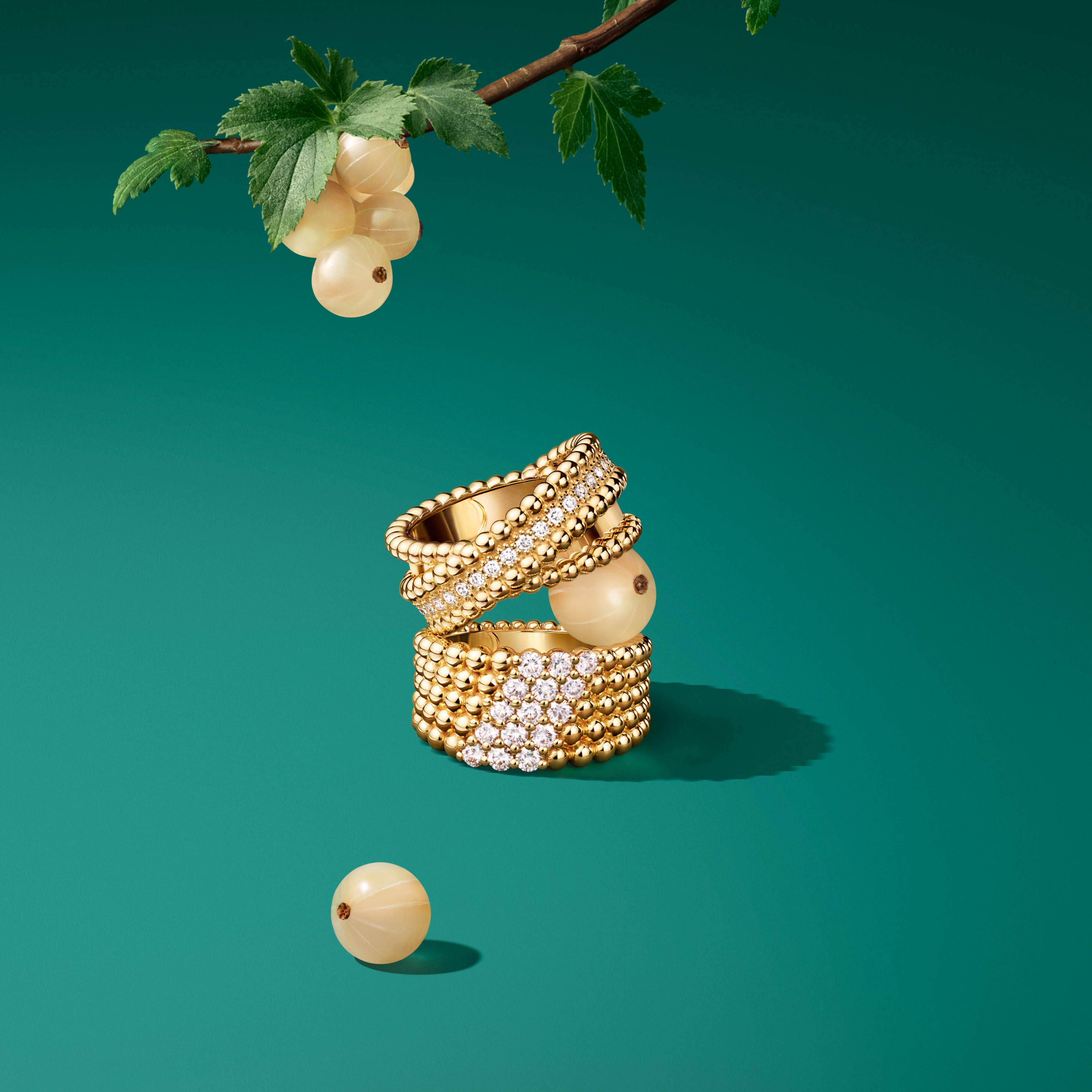 Perlée diamonds duo ring, 18K yellow gold, diamonds. Perlée diamonds ring, 5 rows, 18K yellow gold, diamonds. Perlée® collection, Van Cleef & Arpels.